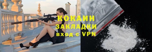 твердый Богородицк