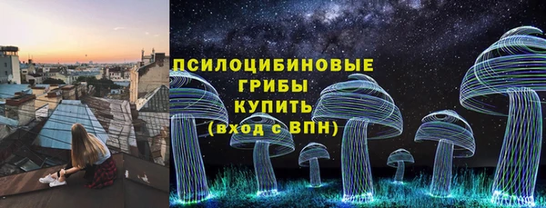 твердый Богородицк