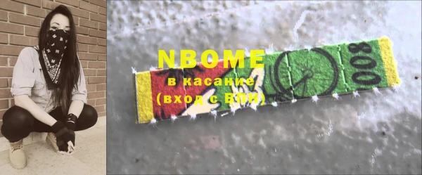 твердый Богородицк