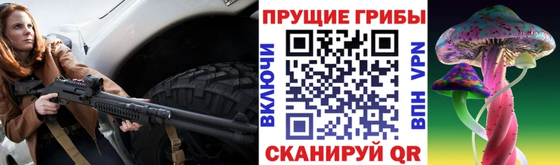 Псилоцибиновые грибы Psilocybe Богородск