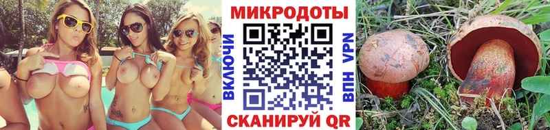 Купить где  Богородск  Псилоцибиновые грибы Cubensis 